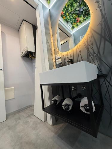 a bathroom with a sink and a mirror at City Star in Rovigo