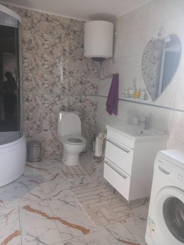 LipniţaにあるCăsuța buniciiのバスルーム(トイレ、洗面台、洗濯機付)