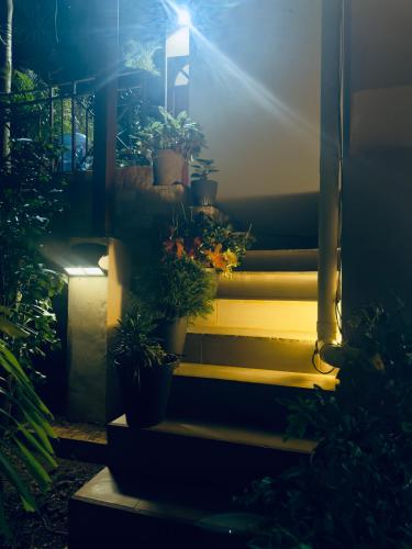 a set of stairs with potted plants on them at 180 Degrees Self-Catering in Victoria