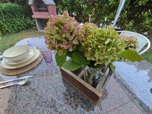 Jardin de l'établissement Villa Biancaluna