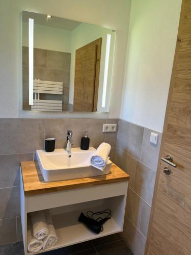 a bathroom with a sink and a mirror at Alpinehome Walchsee in Walchsee