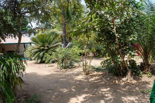 a bunch of trees and plants in a yard at Lodge Jamarek in Kafountine