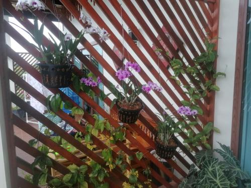 a wooden fence with potted plants on it at Bo Pla Homestay in Ban Bang Sak (1)