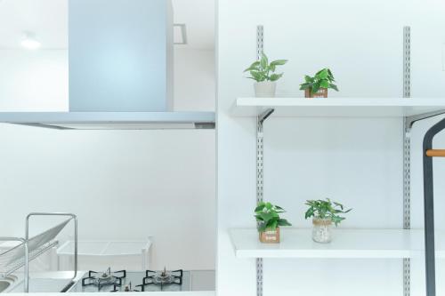 Minami-Shinagawa House by Tranova