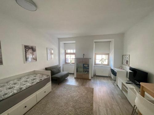 a bedroom with a bed and a tv and a couch at Bike & Relax in Bernburg