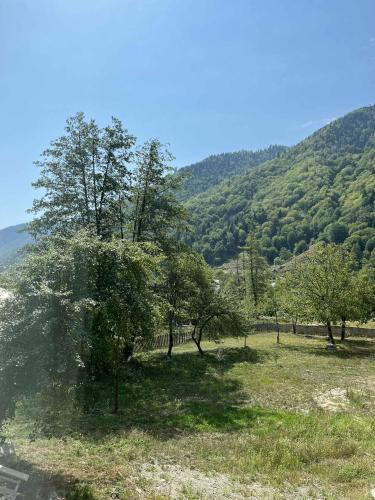 Un paisaje natural cerca de la casa de huéspedes