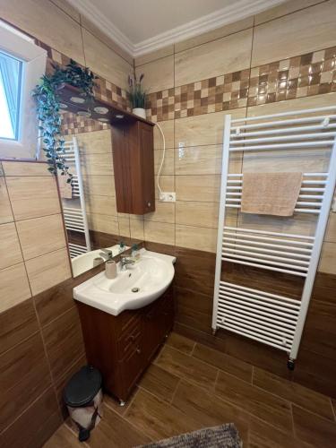 a bathroom with a sink and a mirror at Anna Vendégház Sárospatak in Sárospatak