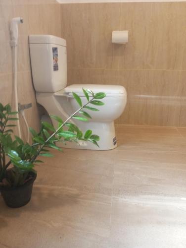 a bathroom with a toilet and a plant in it at Dishari Tangalle in Tangalle