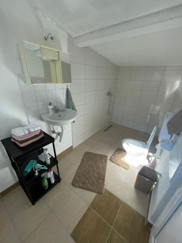 GoraždeにあるApartman Sadba 2のトイレと洗面台のある小さなバスルーム