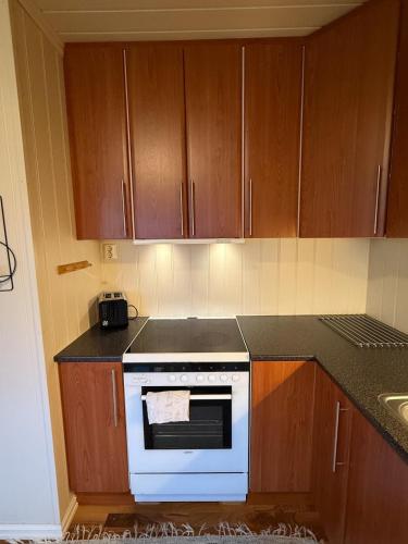 a kitchen with a white stove and wooden cabinets at Casa Sápmi in Tromsø