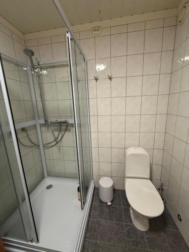 a bathroom with a toilet and a glass shower at Casa Sápmi in Tromsø