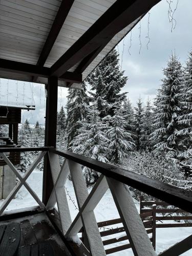 a view of a snow covered forest from a porch at Шале Біла Ведмедиця in Yablunytsya