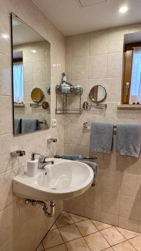 a bathroom with a sink and a mirror at Ferienwohnung Alpina 2 in Wallgau