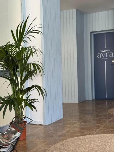 a palm plant in a lobby with a blue door at Hotel Avra in Aegina Town