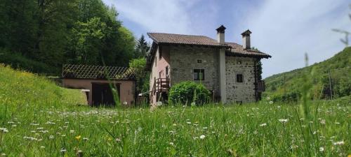 an old stone house in a field of flowers at Mulino Baiar in Stregna