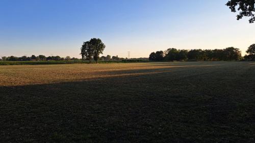 an empty field with trees in the distance at Vakantiewoning OpdeBaan in Kaatsheuvel