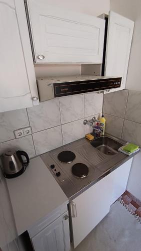 Beach apartments Nemira