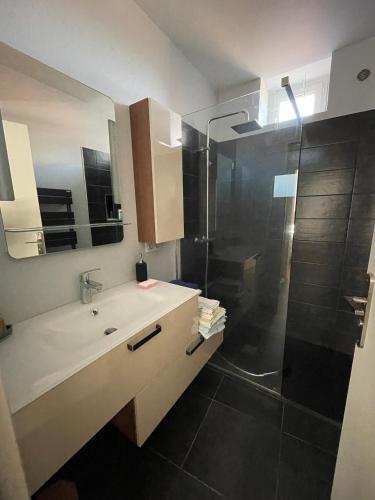 a bathroom with a sink and a shower at Le Rive & Chêne Apartment in Aurillac