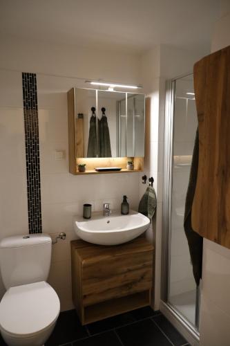 哈嫩克利博克斯维斯Böckchen - Vier Jahreszeiten的带水槽、马桶和淋浴的浴室