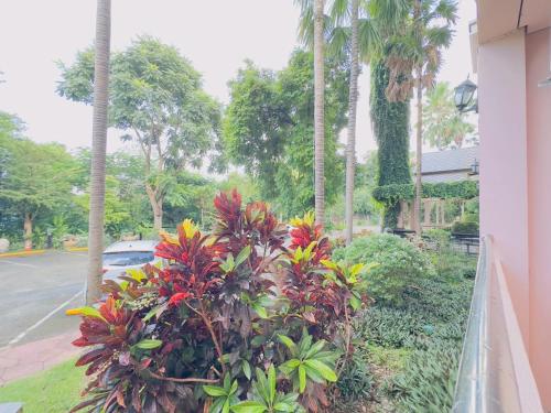 Zahrada ubytování โรงแรมภูรัญญารีสอร์ทเขาใหญ่