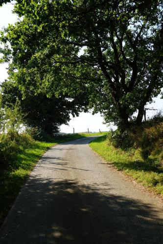 an empty road with trees on the sides of it at Gîte Meunier, tu dors in Vaux-sur-Sûre