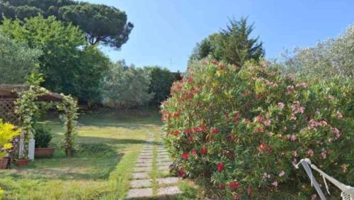 a garden with roses and an arch and a path at Casa Gelso in Scandicci