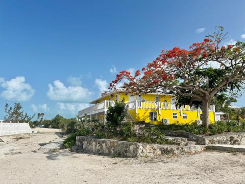 a yellow house with a tree in front of it at Waterfront 2-BR Home in Providenciales in Providenciales