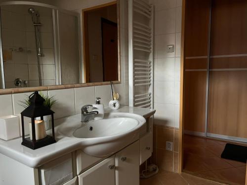 Koupelna v ubytování Podkrovní apartmán s balkónem