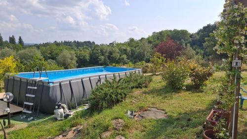 a swimming pool in the middle of a garden at Casa Gelso in Scandicci