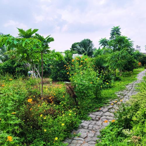 Zahrada ubytování Summer Stations Homestay Binh Chau - Ho Coc Beach - Vung Tau