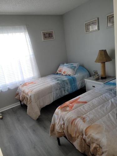 Cozy 2 bedroom Orlando apartment photo 13
