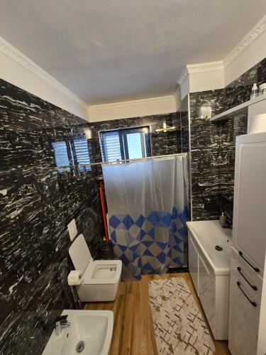 ゴーレムにあるMuli Apartmentsのトイレと洗面台付きのバスルーム