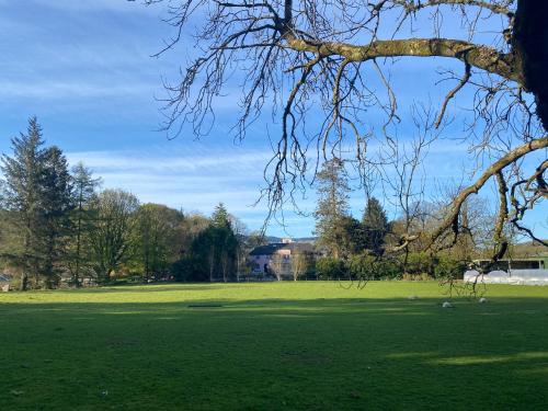 a large field of green grass with a tree at Melfort House in Kilmelfort