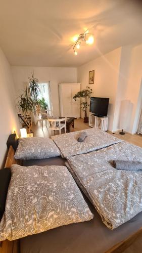two beds in a room with a living room at Appel in Vielbach