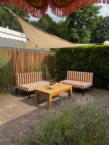 Zahrada ubytování Boutique Budget tinyhouse Veluwe