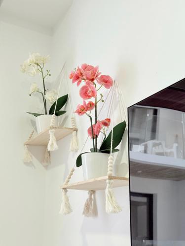 two shelves with flowers in them on a wall at NEW Luxury Modern Condo by Menesse in Playa del Carmen