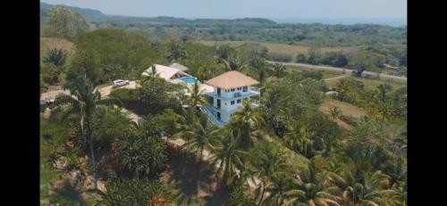 eine Luftansicht eines Hauses in den Bäumen in der Unterkunft The Diamond House with Three Custom Suites in Hatillo