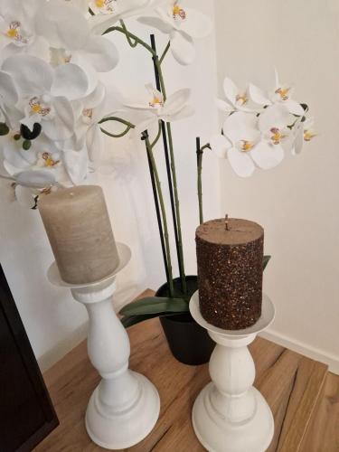 two white vases with white flowers in a room at Lakeside Ferienhaus Neusiedl am See in Neusiedl am See