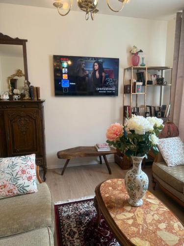 TV a/nebo společenská místnost v ubytování Maison Layla