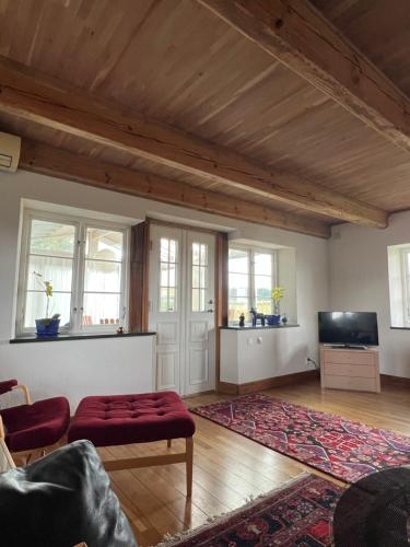 a living room with a couch and a tv at Half-timbered house in Österlen in Sjöbo