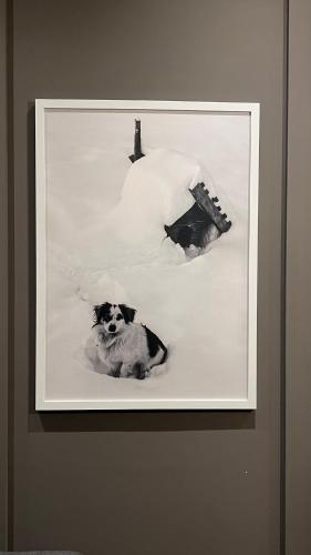 Fotografie z fotogalerie ubytování Modern Mountain Mystic Kolasin v destinaci Kolašin