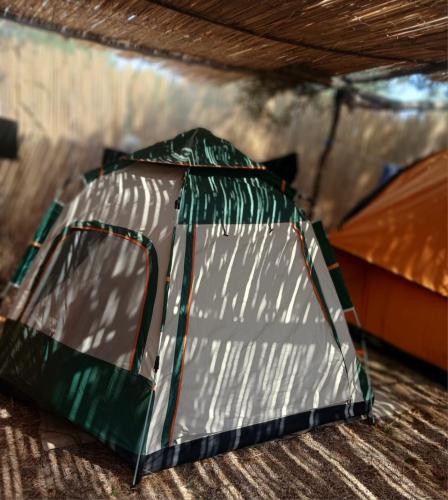 Galería fotográfica de Camping Ullishtja en Qeparo