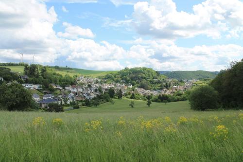 a green field with a town in the distance at Blick zur Heide in Volkesfeld