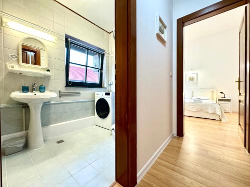 蒂米什瓦拉Le Mignion的带水槽和洗衣机的浴室