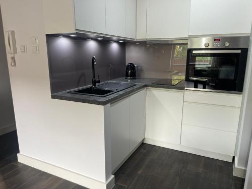 Dapur atau dapur kecil di Apartament Jędrzejów