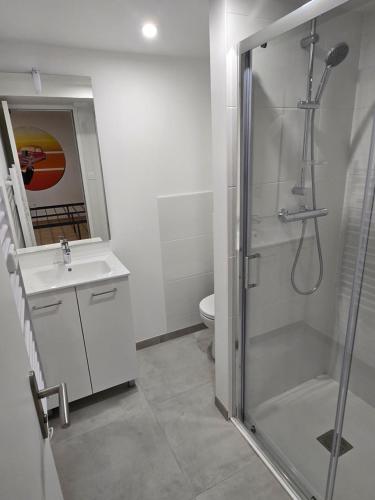 a bathroom with a shower and a sink at Location au pied du circuit in Le Mans