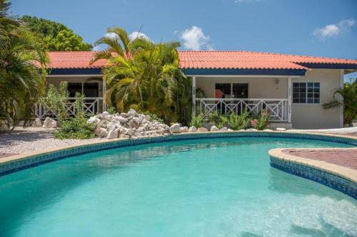 Bazén v ubytování Blue Marlin Apartments, Nabij Mambo Beach nebo v jeho okolí