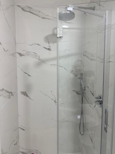a shower with a glass door in a bathroom at Mary Apartment in Vercelli