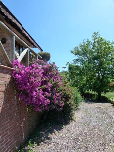 Zahrada ubytování Hotel Finca Los Venancios