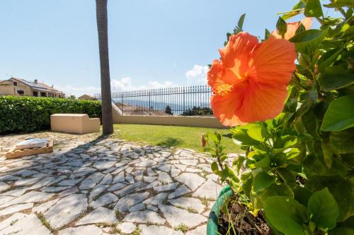 a red flower in a pot on a patio at Villa Fiori e Sapori in Messina